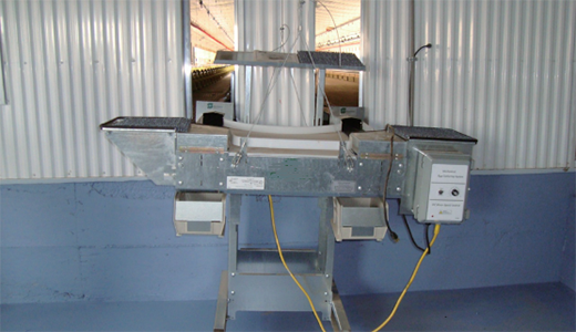 自動(dòng)集蛋桌