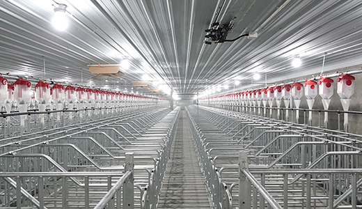 四川綿陽梓潼5000種豬場