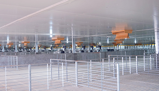 湛江響水14000育肥六場(chǎng)