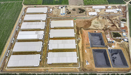 湛江北坡三合14000育肥五場