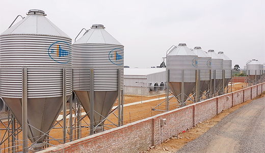 湛江北坡三合14000育肥五場