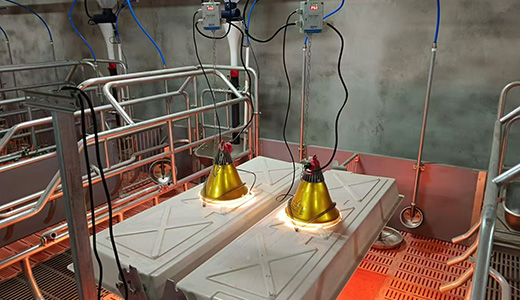 內(nèi)蒙豬場(chǎng)IoT建設(shè)