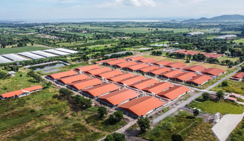 堅定國際化戰(zhàn)略，正大機電企業(yè)海外市場逐浪前行結(jié)碩果