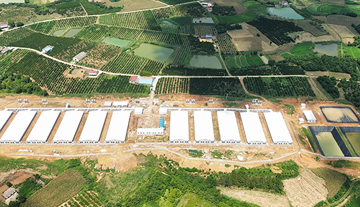 湖北當(dāng)陽宇宙15400育肥場